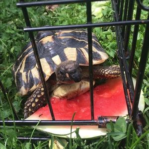 Meet your Posher, Mary